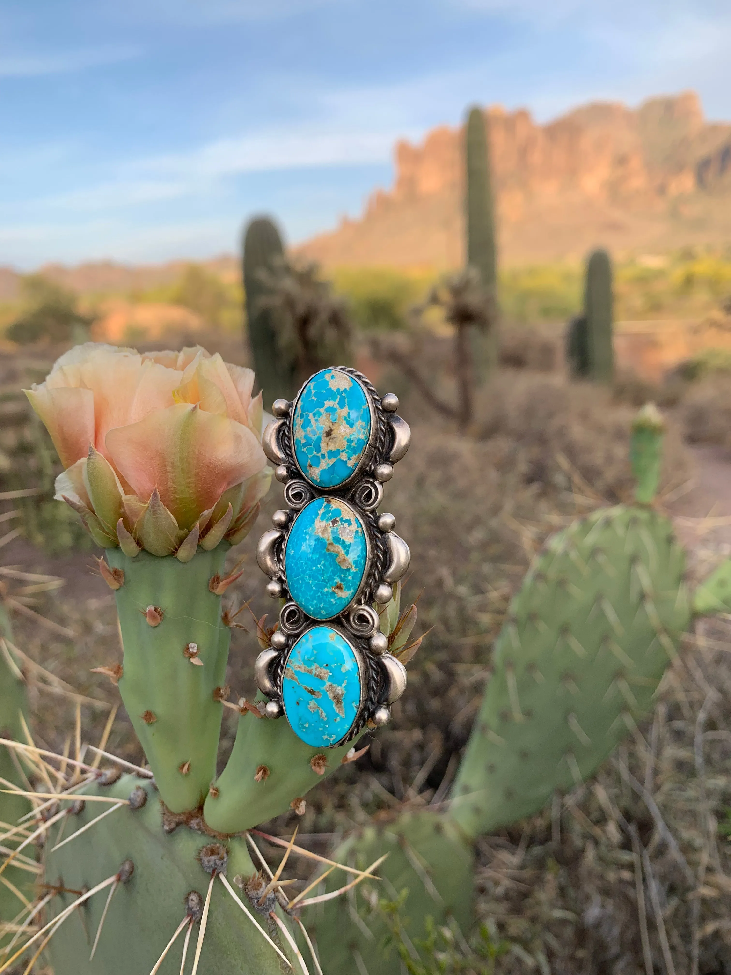 Bird’s Eye Turquoise ring size 8