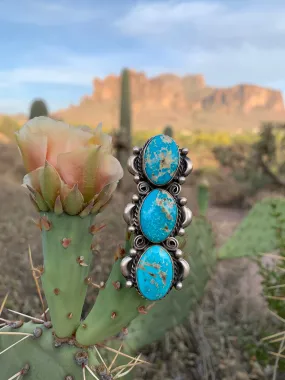 Bird’s Eye Turquoise ring size 8